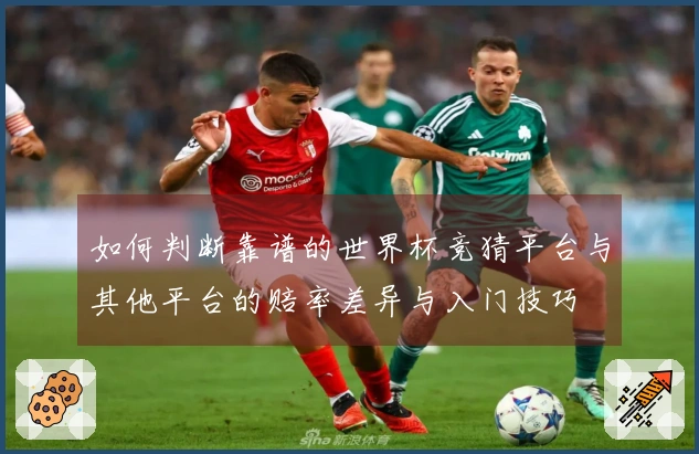 如何判断靠谱的世界杯竞猜平台与其他平台的赔率差异与入门技巧