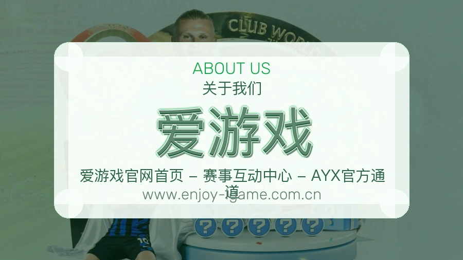关于 爱游戏